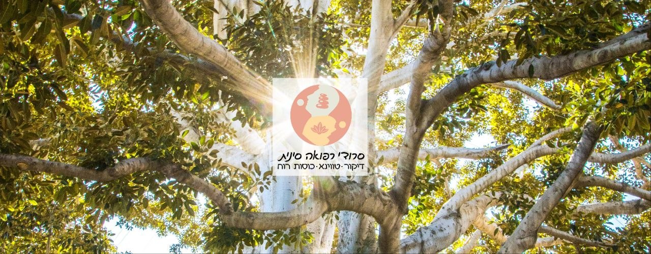 סרודי רפואה סינית