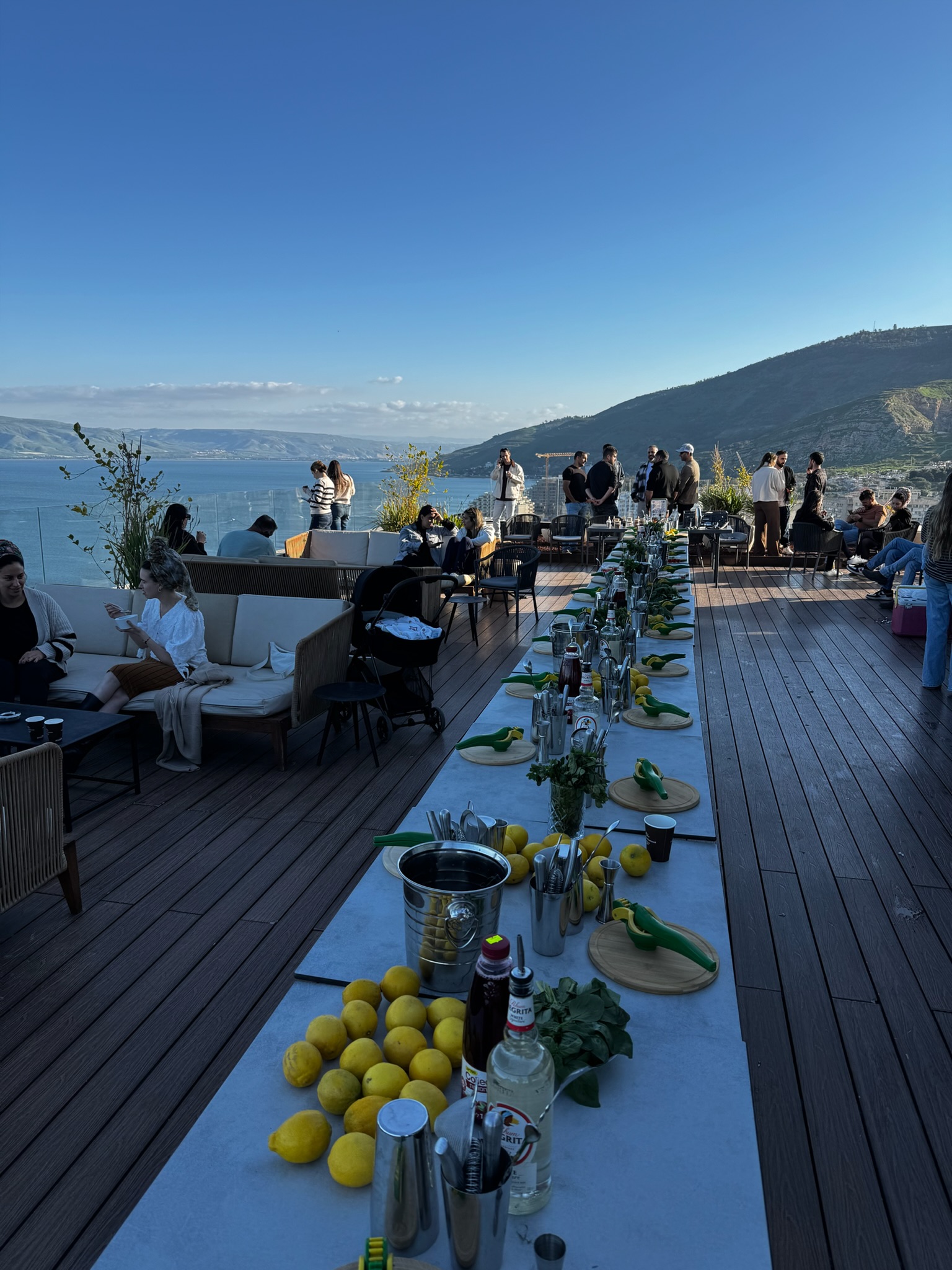 מימיקס קוקטיילס