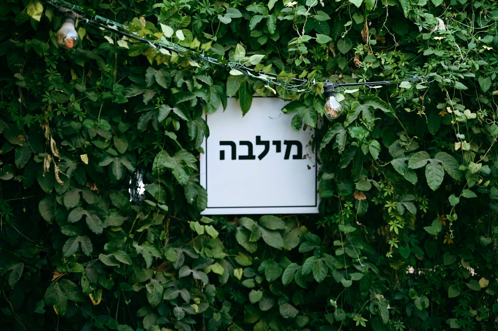 מילבה